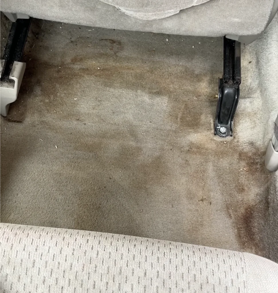 Before - Before and after of a disaster carpet situation, Chatsworth, CA